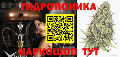 шишки Чебаркуль